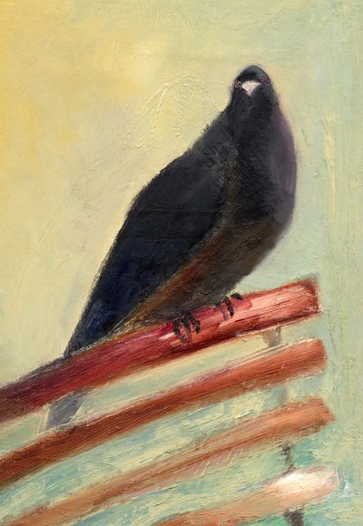 Kingly Court Pigeon, 2013 da Nancy Moniz Charalambous